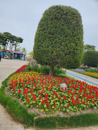 김영암님의 기타작물 · 영농일지 작성글 사진