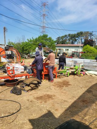 김명숙님의 벼 · 영농일지 작성글 사진