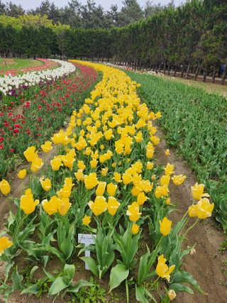 김영암님의 기타작물 · 영농일지 작성글 사진