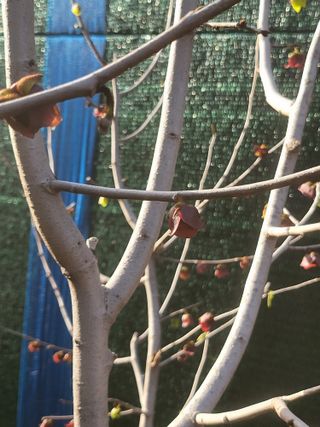 김명숙님의 기타작물 · 영농일지 작성글 사진