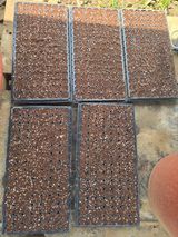 팜모닝 참깨·영농일지 게시글 이미지