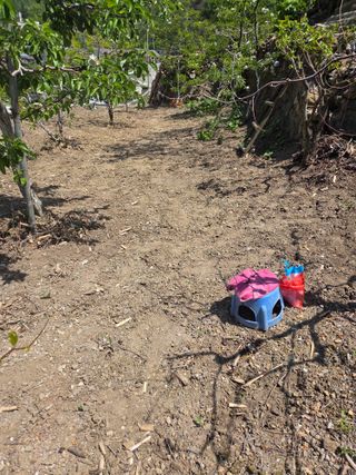 김용대님의 기타작물 · 영농일지 작성글 사진