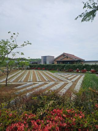 신득경님의 고추 · 영농일지 작성글 사진