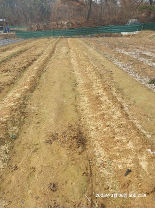 성주 농업인님의 고추 · 영농일지 작성글 사진