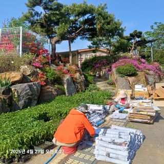 삼성농산님의 기타작물 · 영농일지 작성글 사진