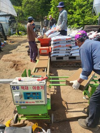 김명숙님의 벼 · 영농일지 작성글 사진