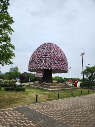 김영암님의 기타작물 · 영농일지 작성글 사진