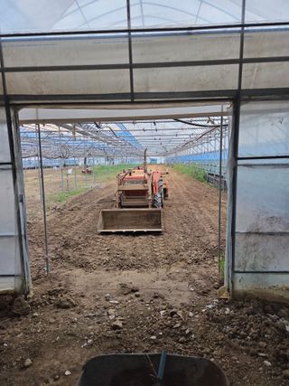 임광순님의 파 · 영농일지 작성글 사진