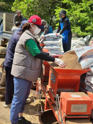 김명숙님의 벼 · 영농일지 작성글 사진