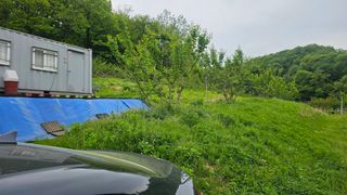 장정규님의 복숭아 · 영농일지 작성글 사진