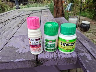 헤이쥬회원님의 포도 · 영농일지 작성글 사진