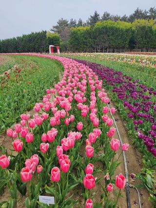 김영암님의 기타작물 · 영농일지 작성글 사진