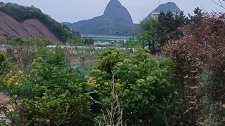 이상철님의 기타작물 · 영농일지 작성글 사진