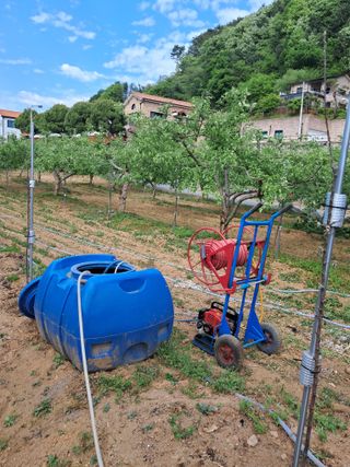 구강회님의 기타작물 · 영농일지 작성글 사진