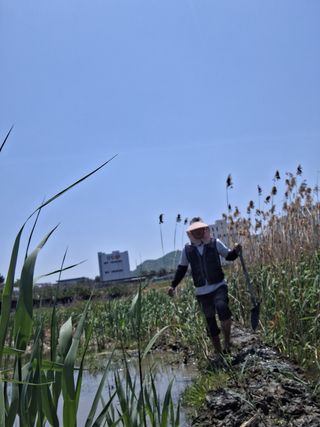 홍순철님의 벼 · 영농일지 작성글 사진