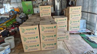김용훈 님의 토마토 · 영농일지 작성글 사진