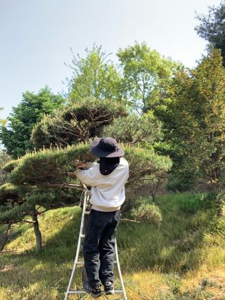 이종승님의 기타작물 · 영농일지 작성글 사진