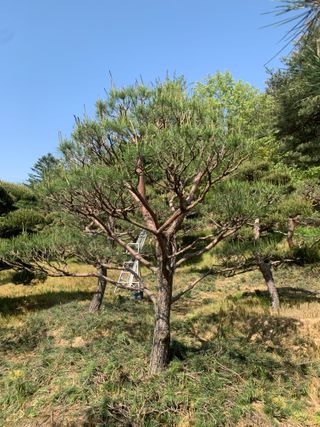이종승님의 기타작물 · 영농일지 작성글 사진