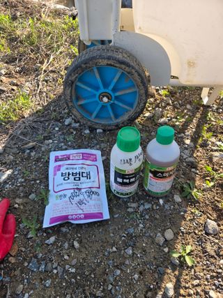 정영석님의 복숭아 · 영농일지 작성글 사진