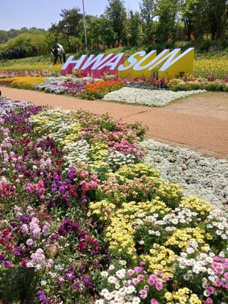 최유순님의 기타작물 · 영농일지 작성글 사진
