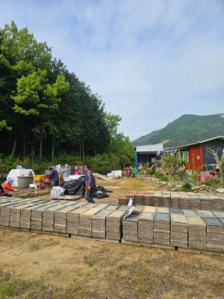 차춘석 님의 벼 · 영농일지 작성글 사진
