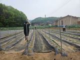 경달현님의 작성글 사진