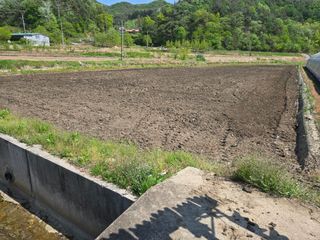 포도21494님의 벼 · 영농일지 작성글 사진