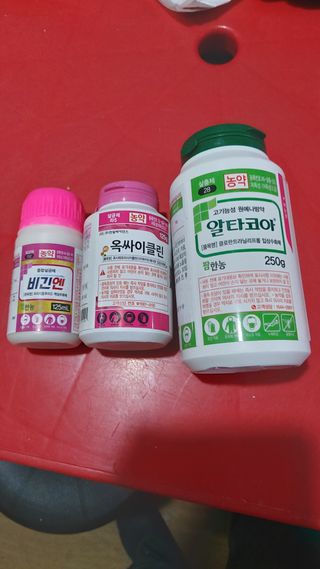 오동추님의 기타작물 · 영농일지 작성글 사진