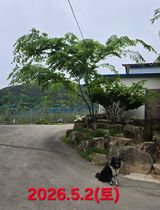 축복의땅 에덴동산님의 작성글 사진