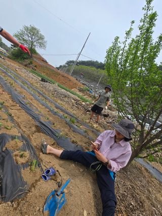 조일성님의 작성글 사진