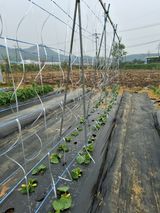백영호님의 작성글 사진