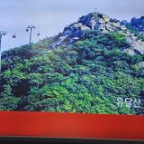 이성규 님의 작성글 사진