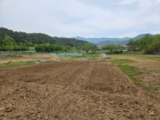 대구북구서변텃밭지기님의 들깨 · 영농일지 작성글 사진