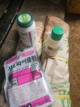 팜모닝 자두·영농일지 게시글 이미지
