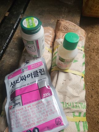 기진성님의 자두 · 영농일지 작성글 사진