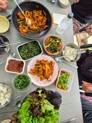 이경옥님의 기타작물 · 영농일지 작성글 사진