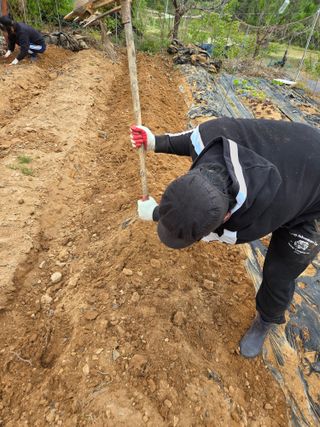 김영옥님의 기타작물 · 영농일지 작성글 사진