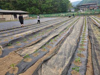 경달현님의 작성글 사진