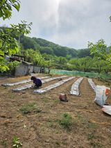 임성욱님의 작성글 사진