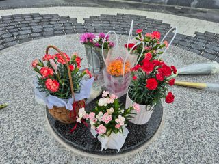 늘햇살팜 님의 기타작물 · 영농일지 작성글 사진