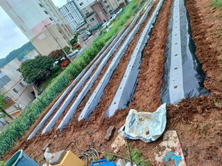 반정우님의 기타작물 · 영농일지 작성글 사진