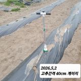 팜모닝 기타작물·영농일지 게시글 이미지