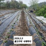 시민농장님의 작성글 사진