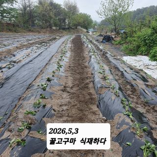 시민농장님의 기타작물 · 영농일지 작성글 사진