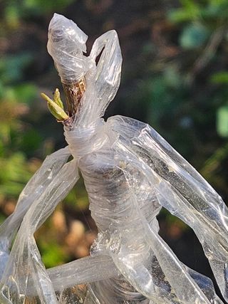 김해열님의 기타작물 · 영농일지 작성글 사진