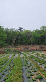 서초농원님의 작성글 사진