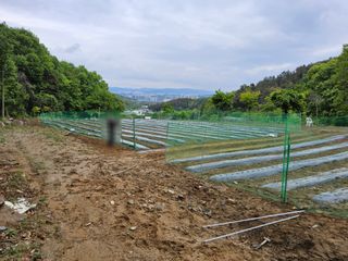 발해인님의 기타작물 · 영농일지 작성글 사진