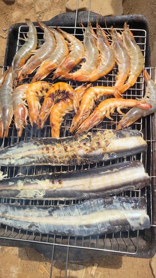 인생은 소풍처럼~님의 기타작물 · 영농일지 작성글 사진