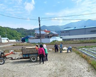 조준제님의 작성글 사진