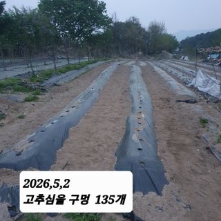 시민농장님의 기타작물 · 영농일지 작성글 사진